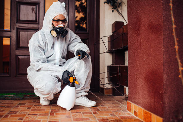 Reliable Ant Control contractor in Warsaw, VA by Show Me Pest Control